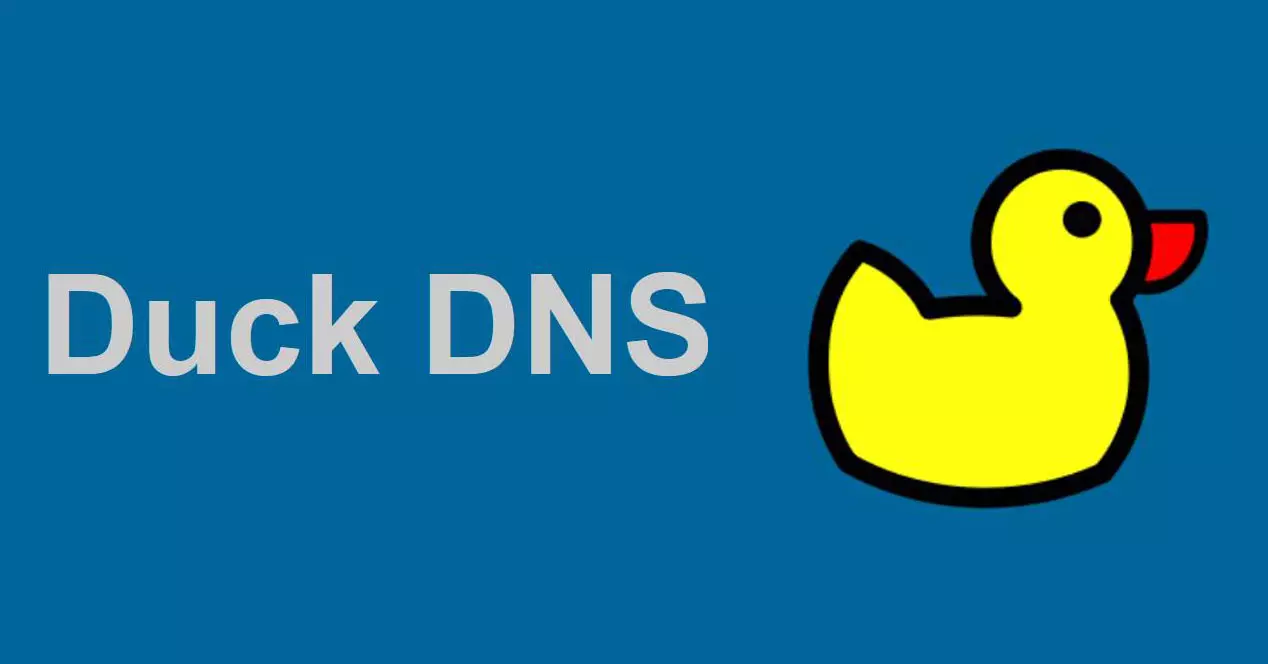 How to Set Up Duck DNS on the Raspberry Pi?